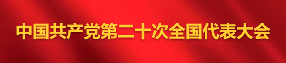 全國代表大會.gif